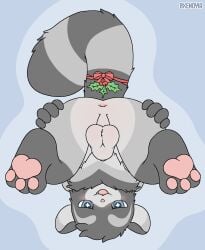 animal_genitalia anus balls canid canine genitals hi_res mammal mistletoe mistletoe_bow mistletoe_on_tail pawpads paws plant presenting procyonid raccoon raccoon_dog sheath tanuki upside-down xen_(xenoyia) xenoyia_(artist)