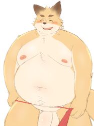 2022 absurd_res anthro balls belly big_belly blush canid canine closed_eyes fox genitals hi_res ibuki_haruno kemono male mammal moobs navel nipples overweight overweight_male penis simple_background solo