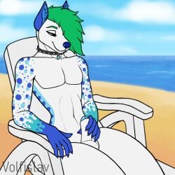 1:1 anthro balls beach beach_chair chair collar collar_only fan_character foreskin fur furniture genitals girly green_hair hair hair_over_eye hi_res inner_ear_fluff lounge_chair male masturbation nude one_eye_obstructed penile penile_masturbation penis seaside solo thick_thighs tuft volfislav white_body white_fur