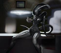 2022 alien alien_(franchise) alien_girl athletic_female black_body black_skin bone breasts detailed_background female female_xenomorph front_view genitals hi_res nipples not_furry nude portrait pussy sitting skull solo three-quarter_portrait xenomorph zaggatar