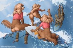 anthro ass bottomless breasts butt canid canine domestic_dog female fluffy fluffy_tail furry jay_naylor nude nudist ocean original_life_universe_(jay_naylor) partially_underwater_shot pussy rear_view solo surfboard surfing tagme tail trixie_(jay_naylor) underwater water