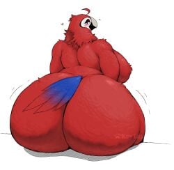 anthro avian beak bird blush female heart huge_ass katie_(sssonic2) keytay parrot red_feathers sitting solo