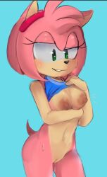 1girls amy_rose anthro breasts dripping_pussy female floweey looking_down pussy shirt_lift solo sonic_(series) sweat