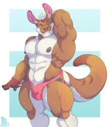 animal_ears animal_humanoid anthro arm_up balls bara bara_tiddies bara_tits barazoku big_chest big_pecs bulge flaccid furry gigantic_chest gigantic_pecs hand_behind_head huge_chest huge_pecs humanoid kangaroo large_pectorals male male_only man_boobs man_breasts massive_chest massive_pecs moobs muscles muscular nose_piercing nose_ring penis solo solo_male tail tylerstark