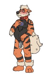 2022 anthro anthrofied arcanine balls biped black_body black_fur black_nose blue_balls blush canid canine chastity_cage chastity_device chest_tuft collar credit_card digital_drawing_(artwork) digital_media_(artwork) embarrassed english_text fur generation_1_pokemon genitals humiliation male mammal multicolored_body multicolored_fur nintendo orange_body orange_fur pokémon_(species) pokemon pokemon_(species) pokemorph red_collar simple_background slightly_chubby slightly_chubby_anthro slightly_chubby_male solo text tuft video_games white_background