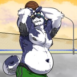 armpit_hair armpits basketball belly belly_overhang bosco(wildyena) furry malamute male male_only muscle_gut musclegut nipples pecs solo sweat sweaty sweaty_body sweaty_male wildyena