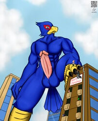 anthro city claws clothes color day erection falco_lombardi fox fox_mccloud fur furry interspecies macro male male_only micro multiple_males nude outdoors penis pheasant size_difference sky star_fox testicles wolf wolf_o'donnell