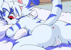 Anthro Rule 34 Image