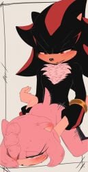 1boy 1boy1girl 1girls amy_rose black_fur doggy_style female female_penetrated furry holding_arms male pink_fur sex shadic80 shadow_the_hedgehog sonic_(series) sonic_the_hedgehog_(series) straight vaginal_penetration