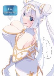 britomart_(fate) fate/grand_order fate_(series) female grey_hair hair_bun large_breasts long_hair pointy_ears twintails very_long_hair