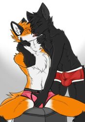 anthro black_body black_fur black_tail bulge canid canine clothing duo fox fur grope male male/male mammal orange_body orange_fur orange_tail tagme tail underwear yaegerarts