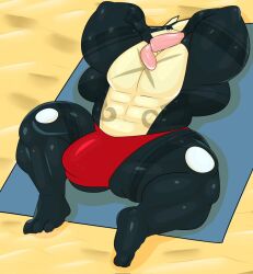 1boy 3_toes addylizard anthro big_bulge big_muscles bulge clothed clothing countershading feet generation_6_pokemon greninja hand_behind_head huge_bulge huge_muscles hyper hyper_bulge hyper_muscles long_tongue lying male male_only markings muscular nintendo pokemon pokemon_(species) sand solo speedo swimwear tan_body tan_countershading toes tongue underwear underwear_only