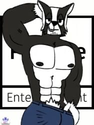 abs anthro badger bandit_the_badger_(dougies_love_den) bicep_curl bicep_vein biceps big_pecs black_fur caitsquartrs company_logo dougies_love_den dougies_play_den eye_bags funside_entertainment furry half-closed_eyes muscular muscular_male nipples oc pecs pinup pubic_hair pulling_down_pants thick_pubes tired_eyes trousers two_tone_fur white_fur