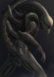 alien alien_(franchise) anus bodily_fluids creepy_gun dripping eyeless female female_xenomorph genital_fluids genitals hi_res monster pussy pussy_juice pussy_juice_drip raised_tail saliva saliva_drip solo standing xenomorph