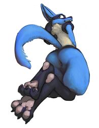 2023 anthro anus ass big_butt claws digitigrade feet fur generation_4_pokemon hi_res low-angle_view lucario male mindkog nintendo nude open_mouth open_smile pawpads perineum pokemon pokemon_(species) simple_background smile solo teeth thick_thighs toe_curl tuft white_background