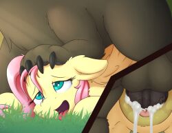 absurd_res balls bear bodily_fluids brown_body brown_fur cum cum_in_pussy cum_inside equid equine feathers female female_penetrated feral feral_on_feral feral_penetrated feral_penetrating feral_penetrating_feral fluttershy_(mlp) friendship_is_magic fur genital_fluids genitals hair hasbro hi_res kit-bash looking_pleasured male male/female male_penetrating male_penetrating_female mammal my_little_pony open_mouth open_smile pegasus penetration penile penile_penetration penis penis_in_pussy pink_hair pupils pussy quadruped sex smile tongue tongue_out vaginal_penetration vaginal_penetration wings yellow_body yellow_feathers