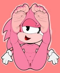 amy_rose classic_amy_rose dummycervine eulipotyphlan feet foot_fetish hedgehog hi_res mammal nude sega sonic_(series) sonic_the_hedgehog_(series)