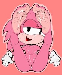 amy_rose classic_amy_rose cum_in_mouth cum_in_pussy cum_inside cum_on_breasts cum_on_face cum_on_feet dummycervine eulipotyphlan feet foot_fetish hedgehog hi_res mammal nude sega sonic_(series) sonic_the_hedgehog_(series)