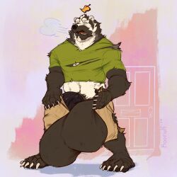 2022 anthro badger balls big_balls black_nose black_penis bottomwear breath bulge bursikbadger claws clothed clothing digital_media_(artwork) er flaccid fluffy fur genitals growth hindpaw holding_bottomwear holding_clothing holding_object holding_pants huge_balls humanoid_genitalia humanoid_penis hyper hyper)penis hyper_balls hyper_genitalia koorivlf magic male mammal mustelid musteline open_mouth panting pants partial_nudity paws penis penis_through_fly poking_out signature simple_background solo standing tanuki_leaf tearing_clothing tongue torn_clothing vein veiny_penis