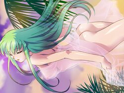 c.c. code_geass female tagme