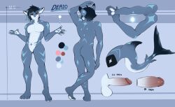 2022 anthro ass athletic athletic_anthro athletic_male balls biped black_hair blue_body derio_(kakhao) digital_media_(artwork) fin fish genitals gills hair hi_res humanoid_genitalia humanoid_penis kakhao male male_only marine model_sheet original penis plantigrade red_eyes shark solo tail_fin white_balls white_body