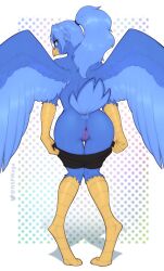 anthro anus avian beak bird blue_body bottomwear bottomwear_down clothed clothing eyewear feathers female genitals glasses hair hi_res looking_at_viewer nude pants pants_down partially_clothed presenting pussy signature simple_background smile solo w4g4 wings