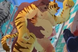 2022 anthro balls bear big_penis closed_eyes detailed_background felid genitals group juuichi_mikazuki kunn_(artist) male male/male mammal moobs morenatsu nipples overweight overweight_male pantherine penis tiger torahiko_(morenatsu) video_games visual_novel