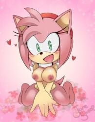 amy rose from sonic (series) by janesheep