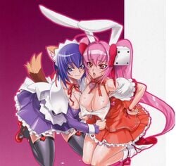 2girls animal_ear animal_ears blue_hair blush breasts bunny_ears cleavage crossover di_gi_charat dice female female_only human inazuma kokubunji_koyori large_breasts light-skinned_female light_skin long_hair multiple_girls nipples nurse_witch_komugi-chan satou_shouji smile tail twintails usada_hikaru