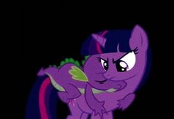 animal animated dragon equine female feral friendship_is_magic furry furry_only horse interspecies male my_little_pony no_humans pony smooth_skin spike spike_(mlp) twilight_sparkle_(mlp) unicorn