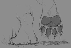 anonymous_artist anthro barefoot claws cracked_ground cruelty dominant dominant_male dragon duo extreme_size_difference feet female flattened foot_fetish foot_focus footprint grey_background heavy larger_male macro male male/female micro micro_on_macro misogyny pawpads paws pinned pinned_to_ground pinning_down raised_foot rubble simple_background size_difference smaller_female smash smashing smothering soles squish stepped_on stomped stomping toe_claws toes trampling underfoot violence