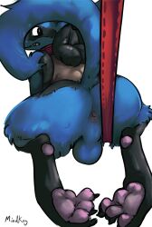 absurd_res anthro anus backsack balls claws collar generation_4_pokemon genitals hi_res hindpaw leash leash_pull looking_at_viewer looking_back lucario male mindkog nintendo nude pawpads paws perineum pokémon_(species) pokemon pokemon_(species) raised_tail rear_view simple_background solo toe_claws toe_curl white_background