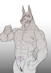 abs andromorph anthro blush canid canine canis clitoris cuntboy dobermann domestic_dog embarrassed genitals hi_res intersex male mammal muscular muscular_andromorph muscular_arms muscular_intersex navel pecs pinscher pussy seitora solo standing