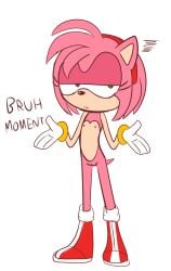 2022 amy_rose culturedlunatic english_text female flat_chested fur hair hi_res looking_at_viewer nipples nude pink_body pink_fur sega short_hair simple_background solo sonic_(series) sonic_the_hedgehog_(series) standing teenager text white_background young