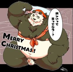 2022 anthro balls bear belly big_belly black_body christmas christmas_clothing christmas_headwear clothing erection genitals giant_panda hat headgear headwear hi_res holidays japanese_text kemono male male_only mammal moobs nipples overweight overweight_male penis santa_hat small_penis solo suishou0602 text white_body