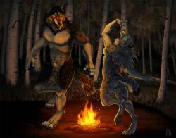 animal_genitalia anthro aspen_tree balls campfire canid canine canis dancing duo female forest genitals happy lazywolf male mammal nude paws plant sheath smile tail_motion tree were werecanid werecanine werewolf windwo1f wolf