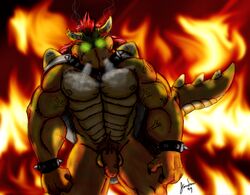 bowser from mario (series) by jandan
