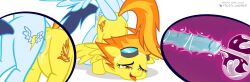 ahe_gao cum_in_pussy earth_pony_colds my_little_pony on_model orgasm pegasus soarin_(mlp) spitfire_(mlp) x-ray