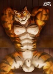 1boy absurd_res animal_genitalia anthro felid fully_sheathed genitals hi_res male male_only mammal markings muscular nipples pantherine sauna sheath solo steam striped_markings stripes tiger towel_around_waist weirdmarks