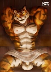 1boy absurd_res animal_genitalia anthro felid fully_sheathed genitals hi_res male male_only mammal markings muscular nipples pantherine sauna sheath solo steam striped_markings stripes tiger towel_around_waist weirdmarks