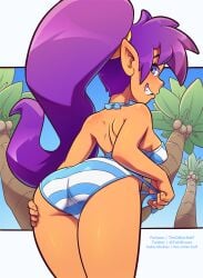 ass bikini blue_bikini blue_eyes blue_swimsuit dark-skinned_female female grin grinning hand_on_ass long_hair looking_back palm_tree purple_hair shantae shantae_(character) smooth_skin solo striped_bikini striped_clothing swimsuit tagme the_other_half