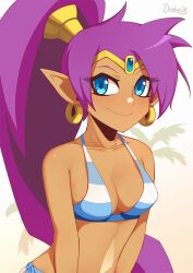 1girls bikini blue_eyes darahan female female_only purple_hair shantae shantae_(character) smooth_skin solo