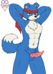 abs animal_genitalia animal_penis anthro balls bandai_namco bandana blue_body blue_fur bulge canid canine canine_penis canis clothing digimon digimon_(species) domestic_dog erection fur gaomon genitals hi_res kerchief male male_only mammal muscular nude pecs penis seductive solo thevgbear tuft white_body white_fur yellow_eyes