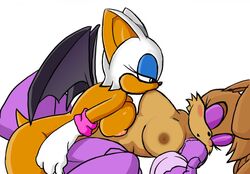 2girls anthro bunnie_rabbot female female_only furry furry_only genocyber rouge_the_bat sonic_(series) yuri