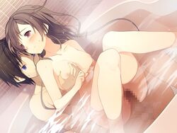 akinashi_yuu aomi_isara areolae bath bathtub black_hair blush breast_grab breasts brown_hair censored female game_cg highres koi_to_senkyo_to_chocolate legs long_hair looking_back nipples nude penis pink_eyes purple_eyes sex short_hair sitting smile steam sweat thighs vaginal_penetration water