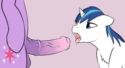 2014 animal_genitalia balls clopper-dude equine erection feral friendship_is_magic furry futa_on_male futanari herm herm_on_male horn horse horsecock imminent_sex intersex male mammal my_little_pony open_mouth penis pony shining_armor_(mlp) twilight_sparkle_(mlp) unicorn