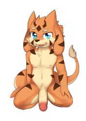 absurd_res anthro blep blue_eyes brown_markings brown_nose chest_tuft floppy_ears front_view fur genitals glistening glistening_eyes half-erect head_tuft hi_res humanoid_genitalia humanoid_penis kewkungzn kneeling looking_at_viewer male markings nude orange_body orange_fur penis red_tongue simple_background solo species_request tongue tongue_out tuft unsigned white_background yellow_body yellow_fur yellow_penis young