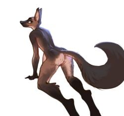 2022 all_fours anthro anus ass biped black_body black_fur breasts brown_body brown_fur canid canine canis digital_media_(artwork) discreet_user domestic_dog female fur genitals gloves_(marking) hi_res looking_back mammal markings multicolored_body multicolored_fur pink_anus pussy simple_background solo white_background white_body white_fur