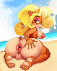 1girls activision anthro anus ass australian big_ass_cheeks big_breasts breasts butt coco_bandicoot crabtopus crash_(series) female fur genitals girly girly_girl hi_res lips mammal marsupial mutant nipples paws pussy solo