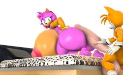 1boy 1girls 3d amy_rose anthro balls big_ass big_balls big_breasts big_penis canid canine dat_ass fox fox_boy fox_humanoid furry gold_jewelry hand_on_ass hedgehog hedgehog_girl huge_ass huge_balls huge_breasts huge_cock hyper_breasts hyper_penis imminent_sex minttoo nipple no_humans nude penis_between_ass sega simple_background sonic_(series) sonic_the_hedgehog_(series) source_filmmaker tails tails_the_fox thick_thighs white_background wide_hips